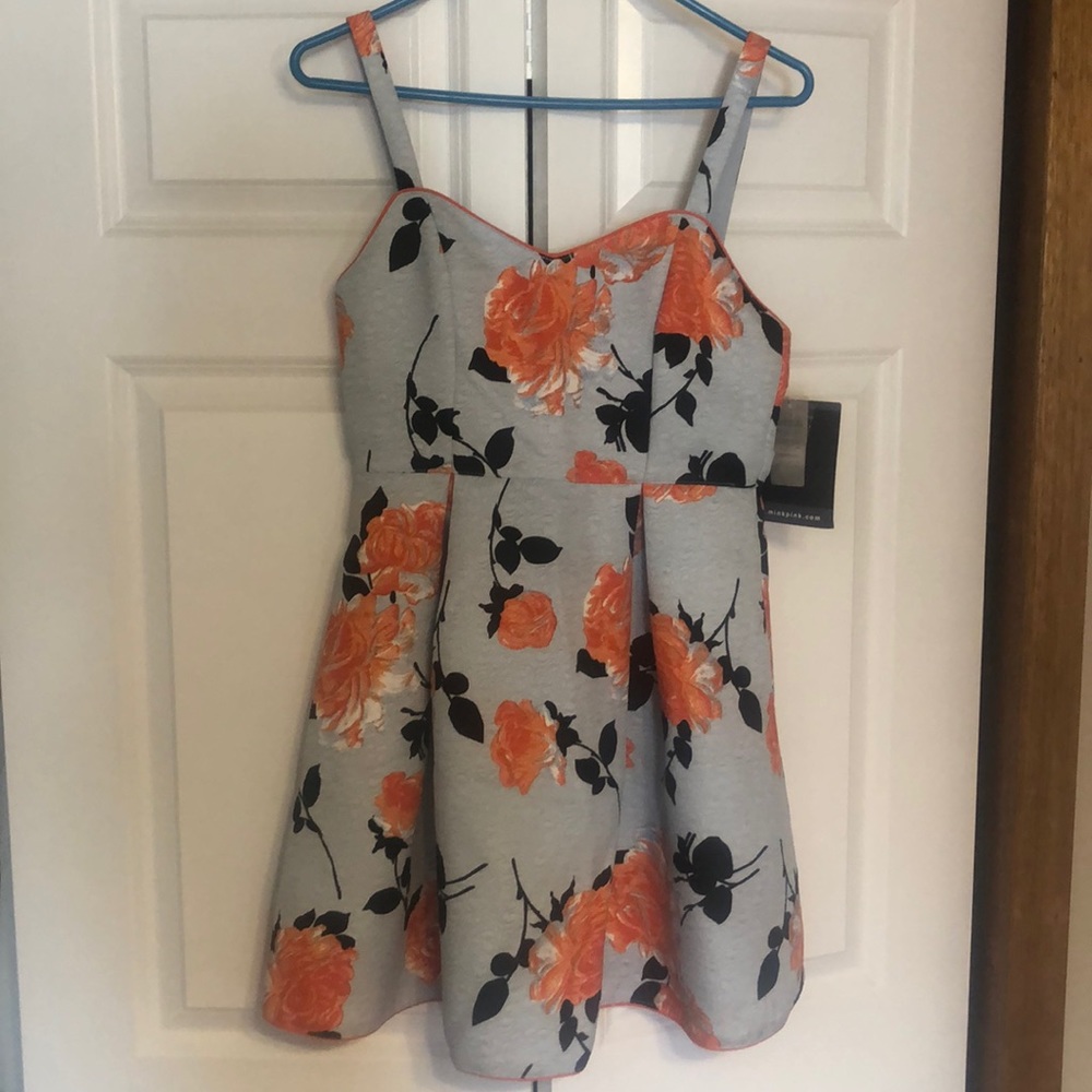 Mink Pink Dress